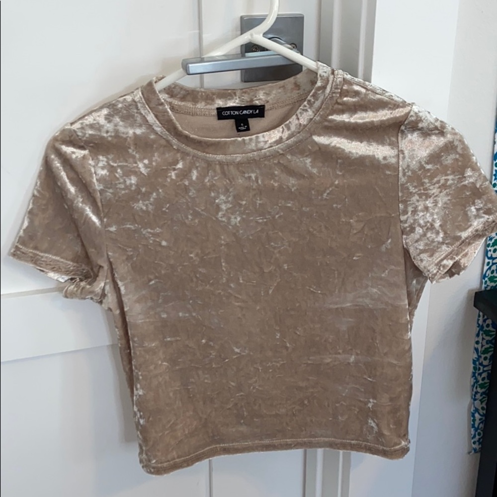 Impeccable pig crop top